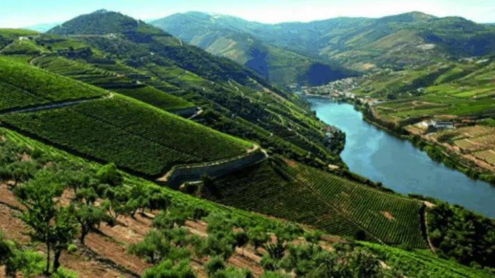 Baixo Corgo (Lower Corgo)