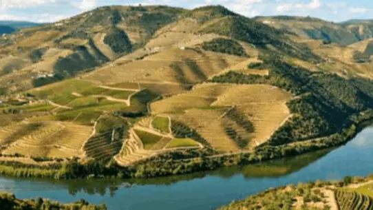 Cima Corgo (Upper Corgo)