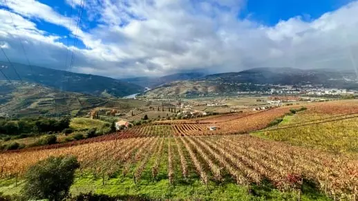 Autumn  in Douro Valley
