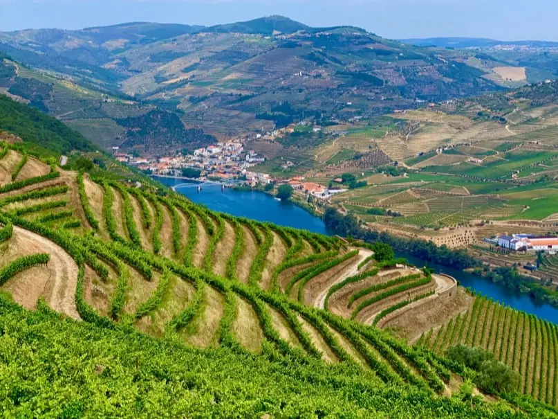 Best Time to Visit Douro Valley: Month-by-Month Guide