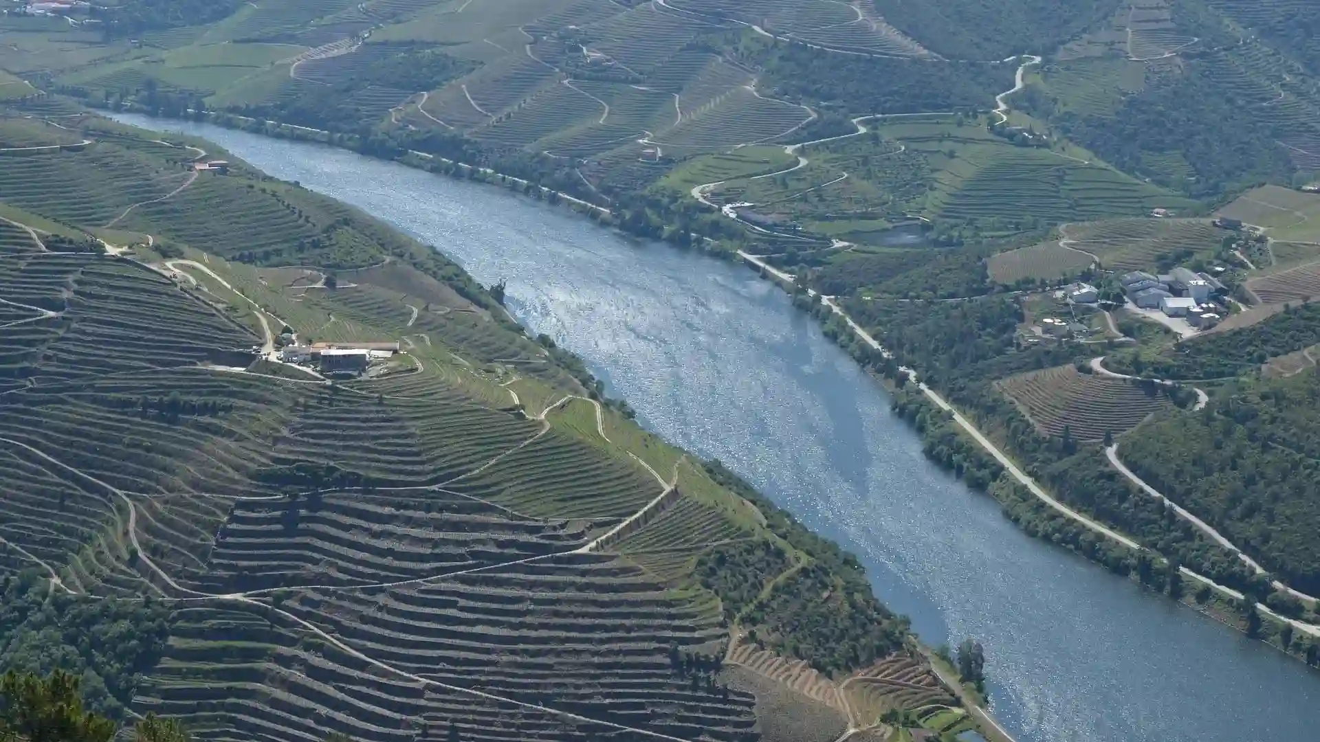 Douro Valley Wine Tours