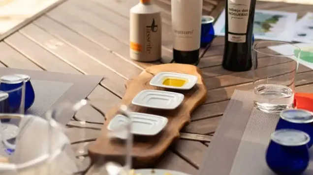 douro olive oil tasting